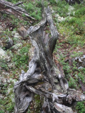 Stacks Image 941